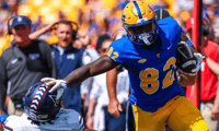 LSU has landed a transfer signee from Pitt tight end Malachi Thomas (Photo: Pitt Athletics)